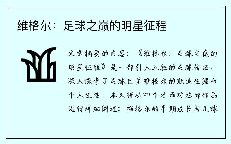 维格尔：足球之巅的明星征程
