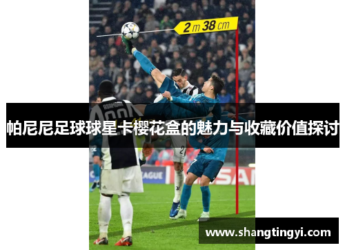 帕尼尼足球球星卡樱花盒的魅力与收藏价值探讨