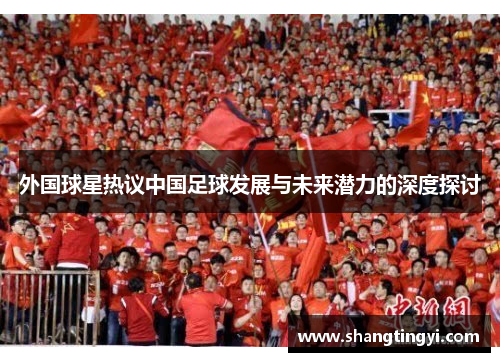 外国球星热议中国足球发展与未来潜力的深度探讨